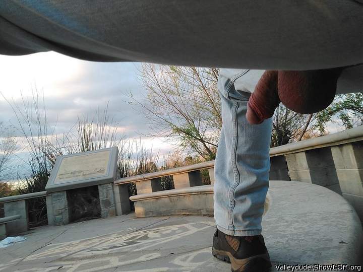 Hanging at the park