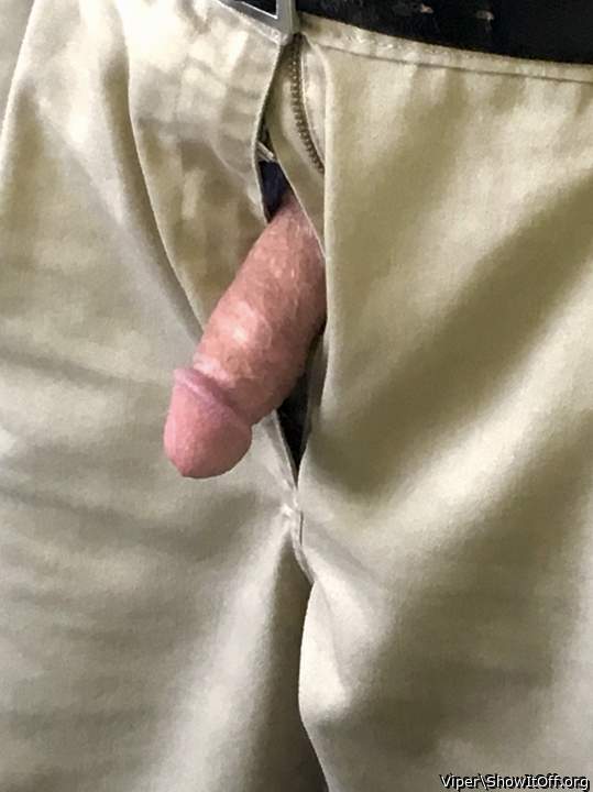 Photo of a phallus from Viper