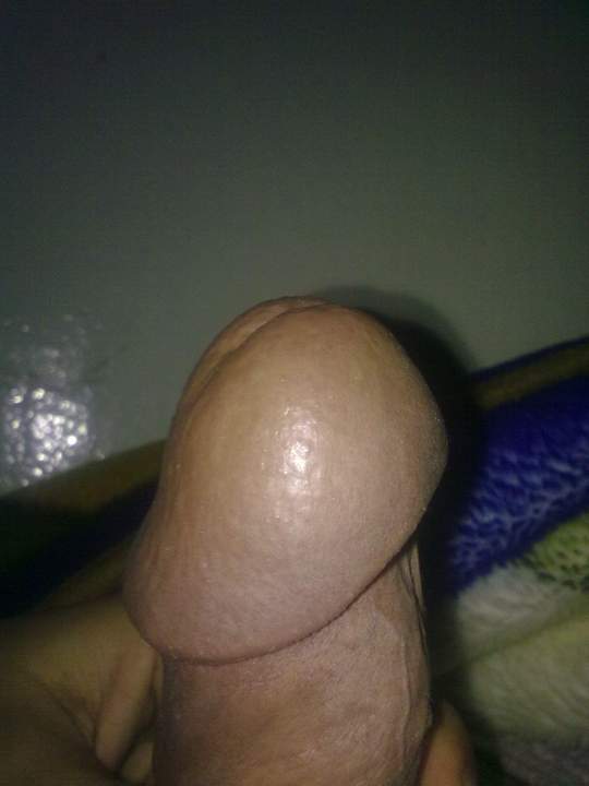 Photo of a third leg from sultan