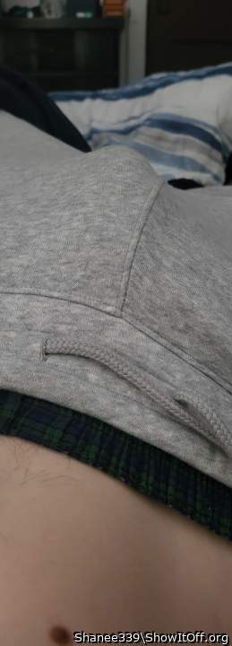 Photo of a middle leg from Shanee339