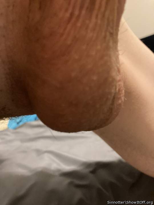 Testicles Photo from Otter