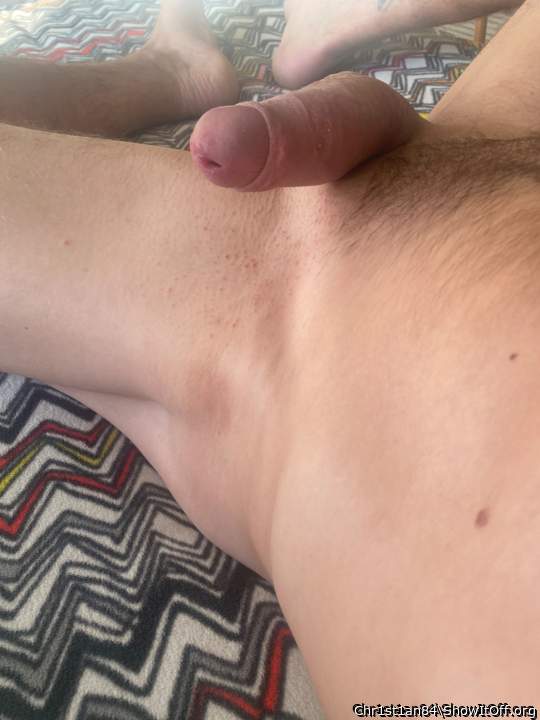 Photo of a middle leg from Chr1st1an84