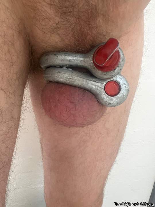 Testicles Photo from Tordk