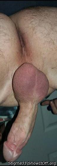 Photo of a dong from Stigma33