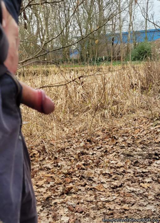 Cock Out By The Canal
