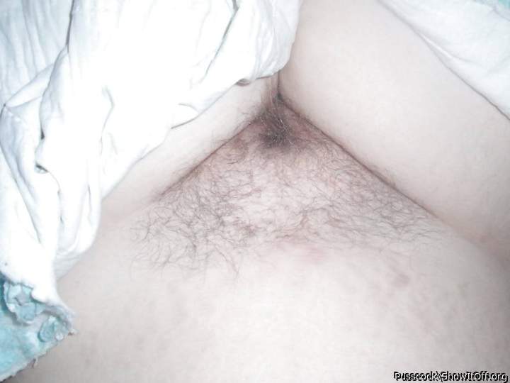 Photo of a cavalier from Pusscock