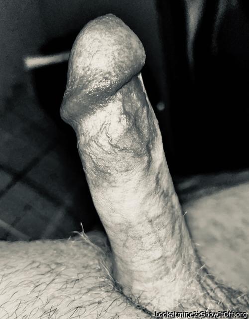 Side View in Black and White