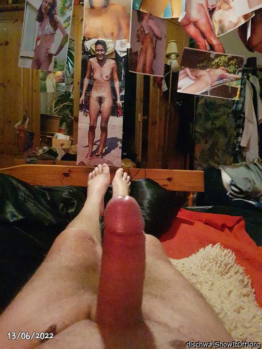 Photo of a pecker from dischwa