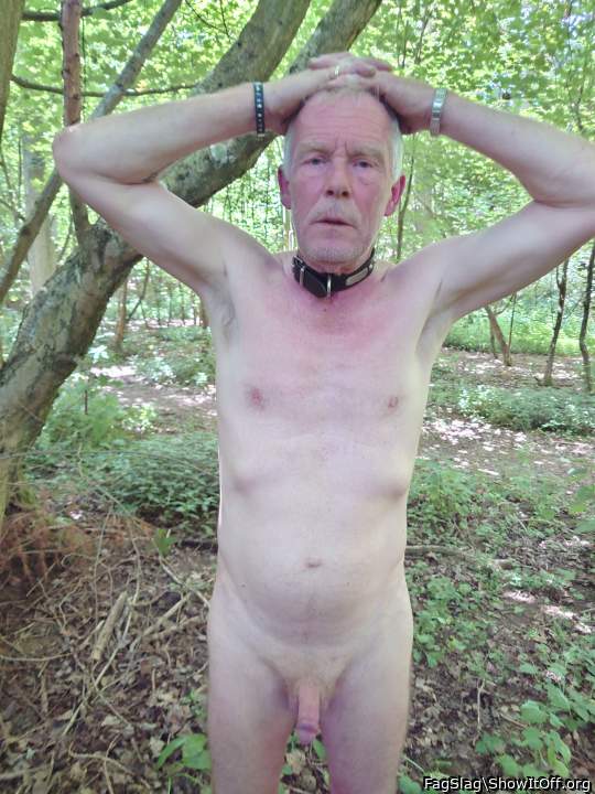 Photo of a penile from FagSlag
