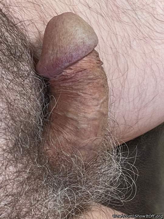 Love a Hairy Cock 