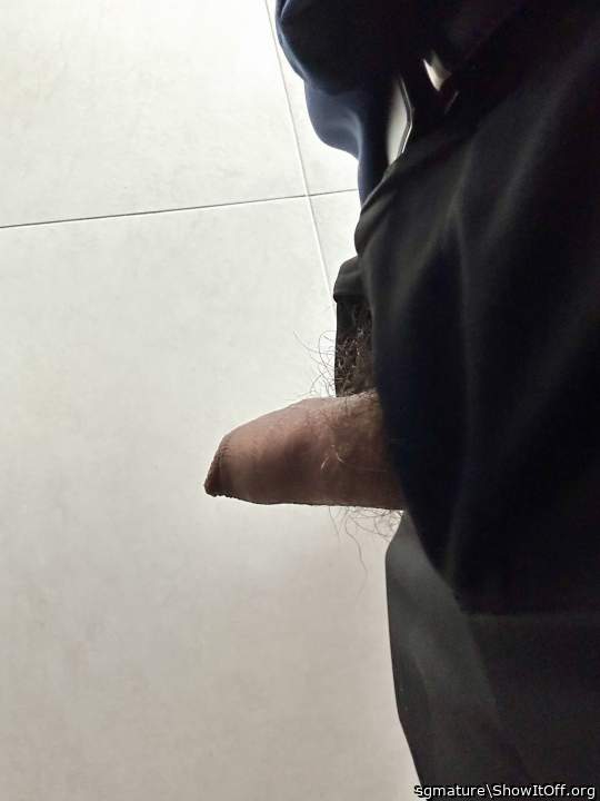 Photo of a rooster from sgmature