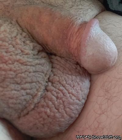 nice little dick