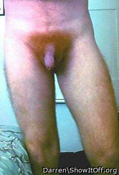nice bush great dick 
