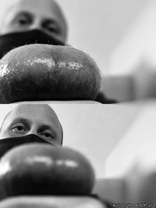 My humble balls