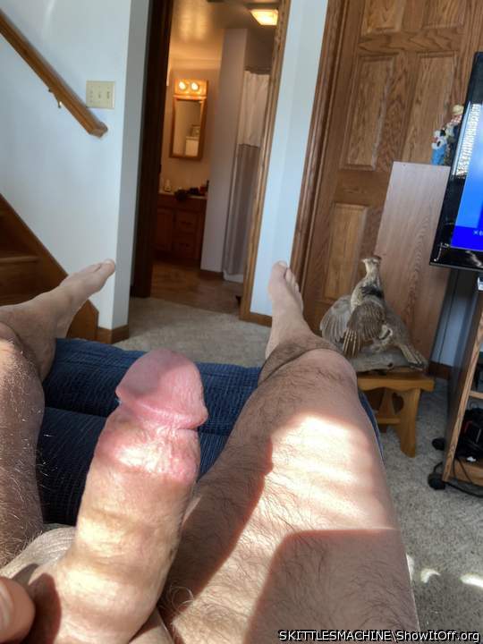 Sexy cock very suckable!!!