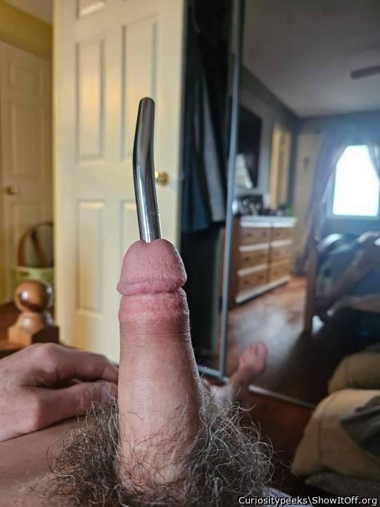 Photo of a prick from Curiositypeeks