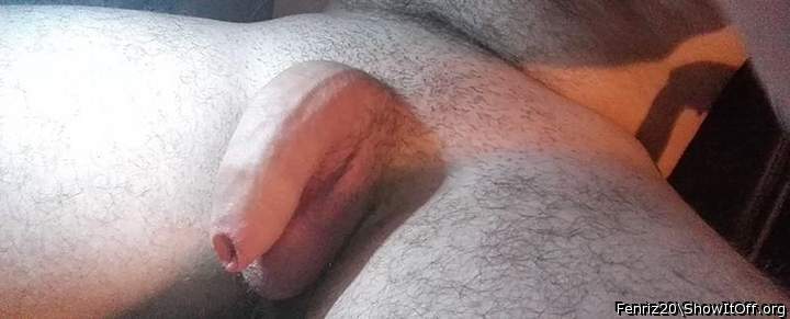 Photo of a penis from Fenriz20