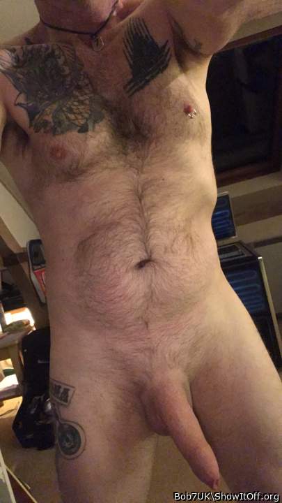 Adult image from Bob7UK
