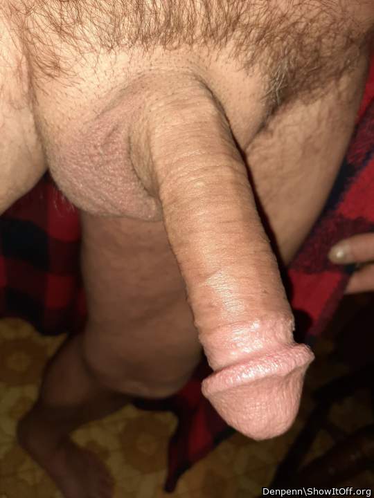 Photo of a stiffie from Denpenn