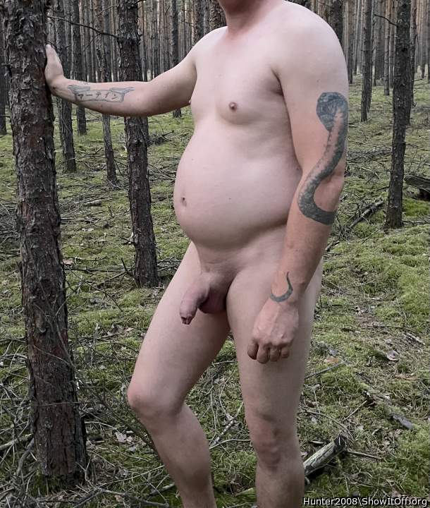    &#9835;&#9834; Im Grunewald im Grunewald is Holzauktion 