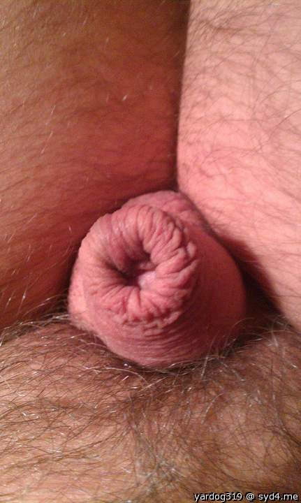 Photo of a prick from yardog319