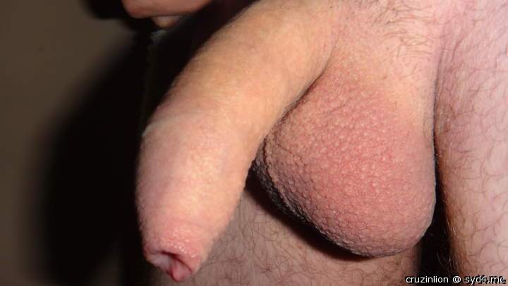 shaved balls.. wanna suck?