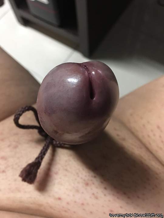 Photo of a cock from ilovemydick