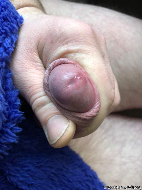 Photo of a wiener from tiit666