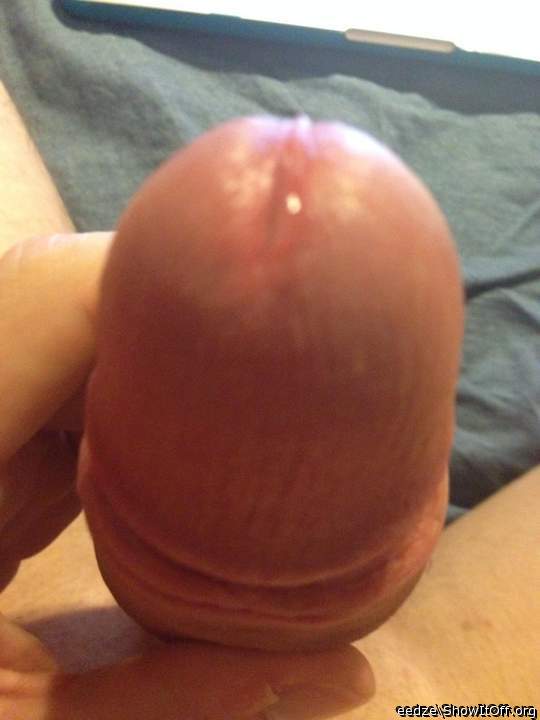 Precummy