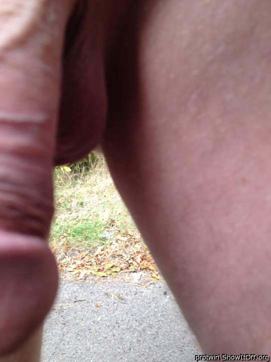 Photo of a pecker from protwin