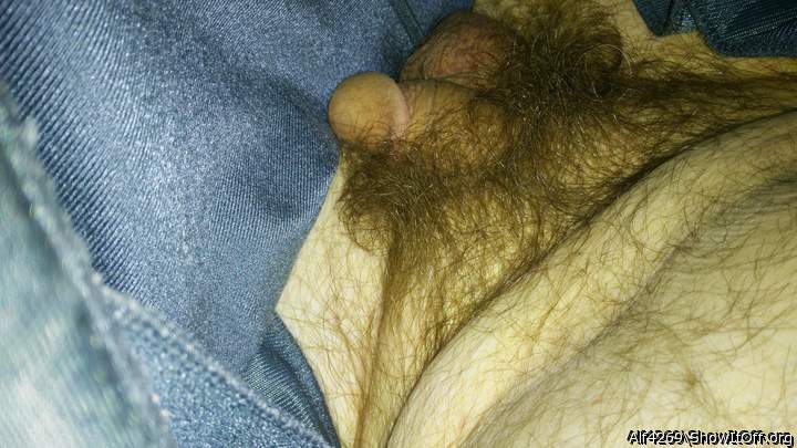 Photo of a penis from Alf4269