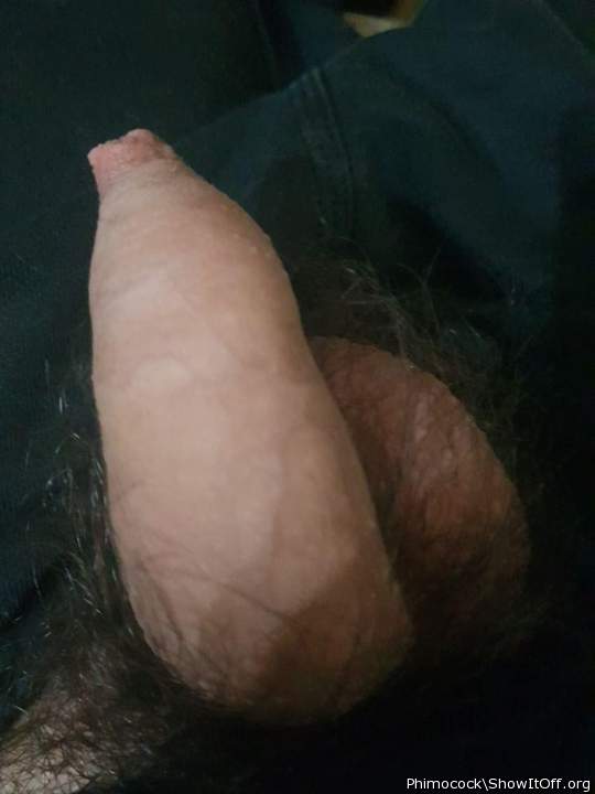 Beautiful foreskin!!    