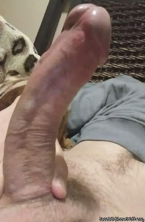 Photo of a python from Jaco86