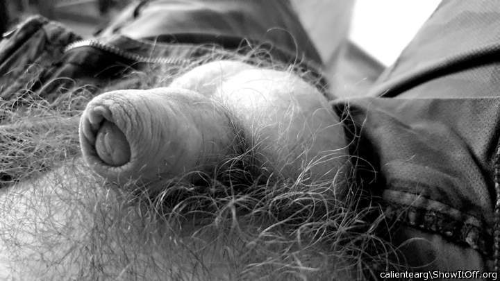 sweet foreskin! delicious dick!   