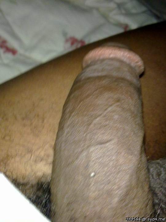zito's dick 05