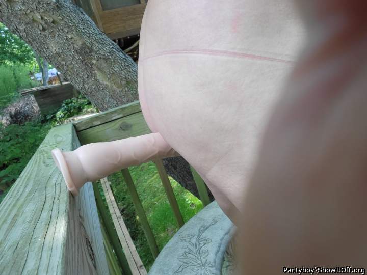 Photo of a weasel from Pantyboy
