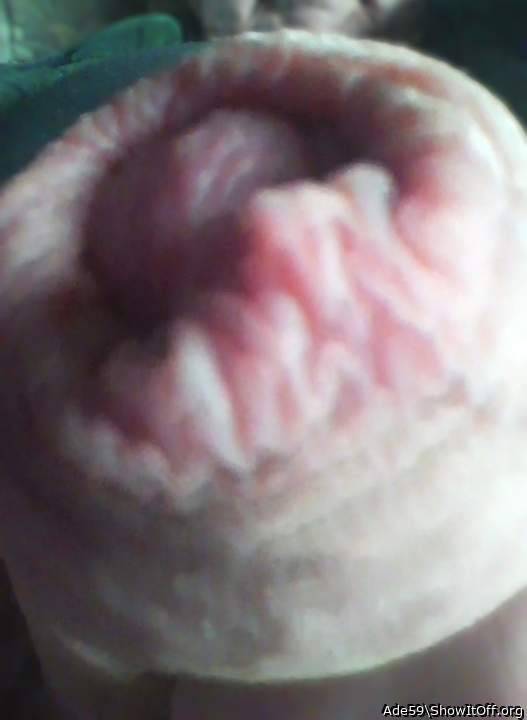 Licking my way to heaven...sweet foreskin mouthful!