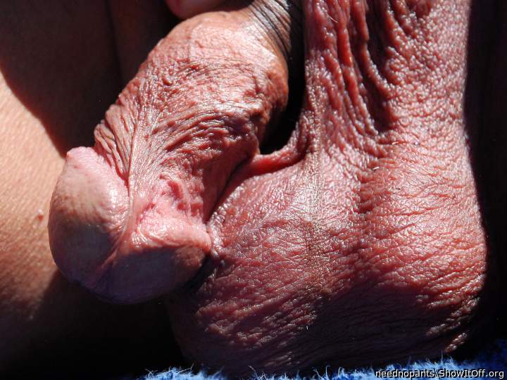 Photo of a shaft from neednopants