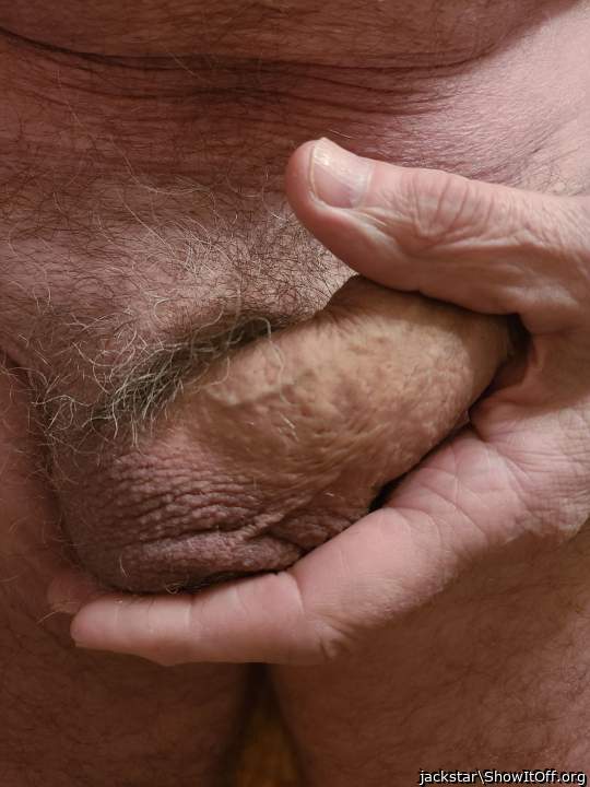 Photo of a sausage from jackstar