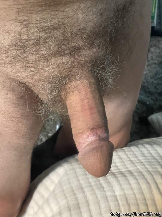 Photo of a snake from dodgerboy