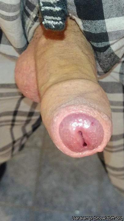 Photo of a hot dog from Haralampi