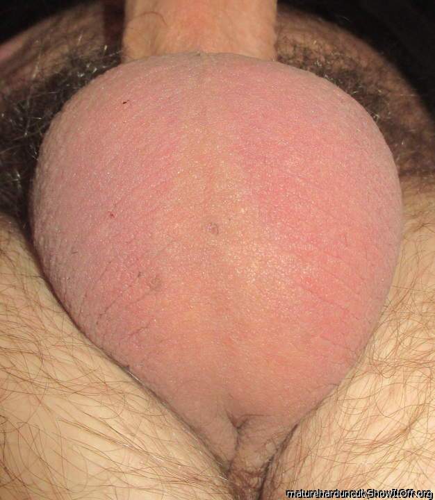 Testicles Photo from matureharduncut