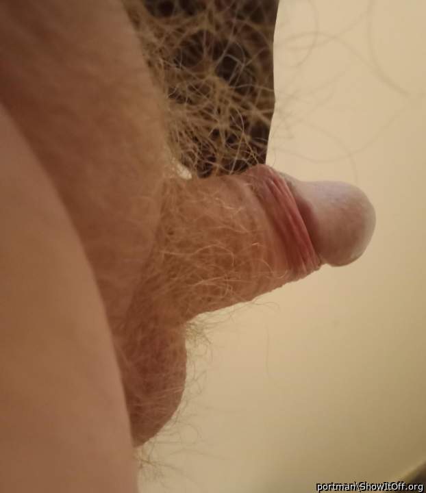Shorty