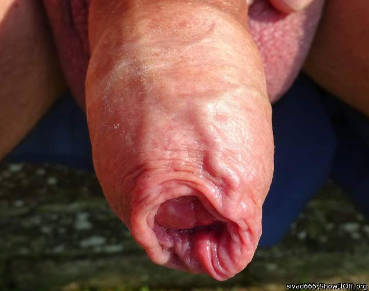 Photo of a prick from sivad666