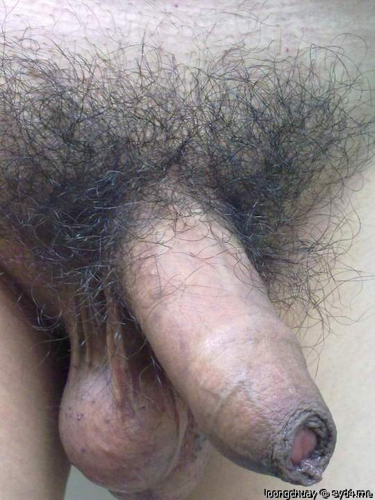 Beautiful uncut penis and balls! 