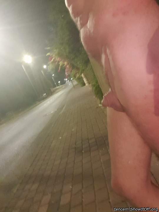 Photo of a middle leg from tencem