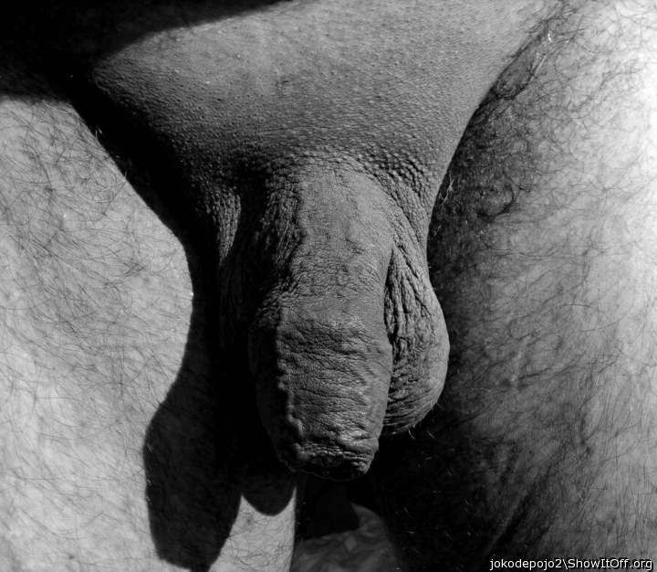 Photo of a snake from jokodepojo2