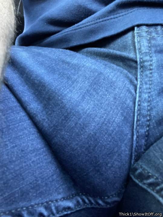 Photo of a bat from Thick1