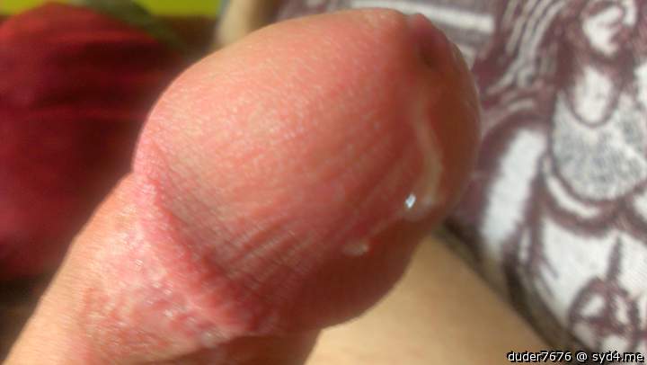 Photo of a cock from duder7676