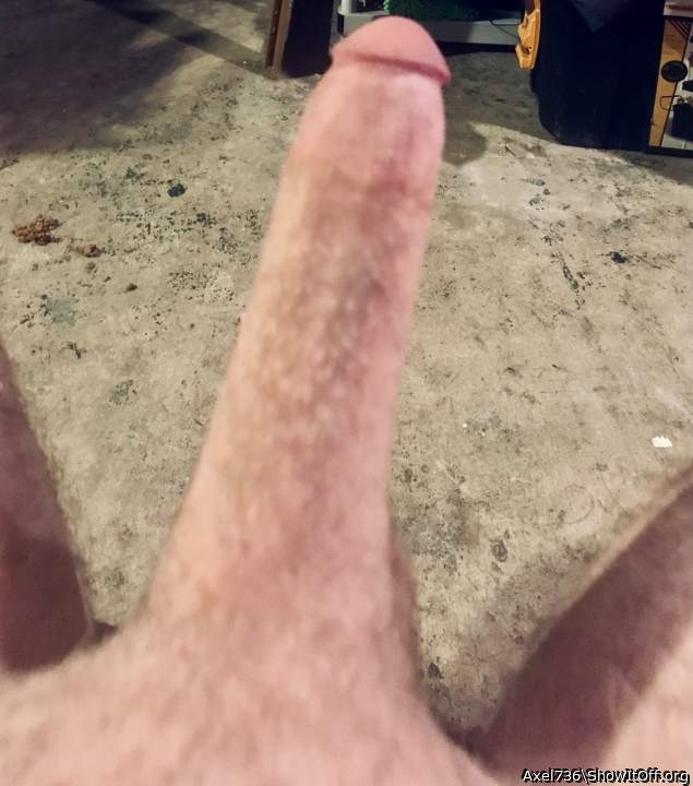 Nice big boned up cock bud!  